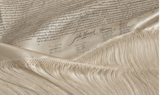 Declaration of Independence Oversized Silk Wrap